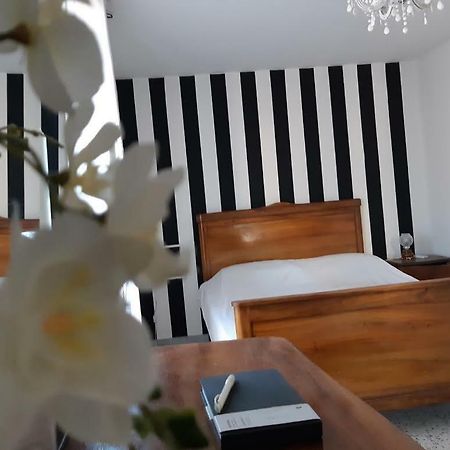 Vila Casa Annunziata, Borgo E Mare A Badolato Badolato Marina Exteriér fotografie